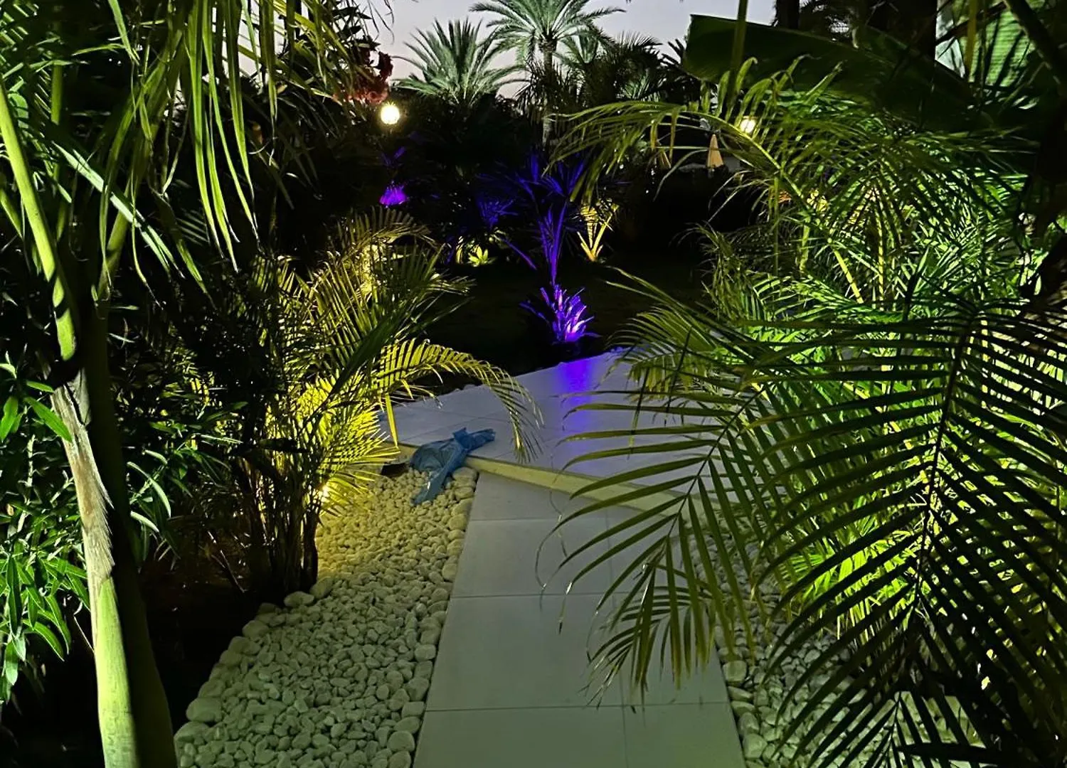 Sun Club P65 Premium Bungalow Maspalomas  Maspalomas (Gran Canaria)